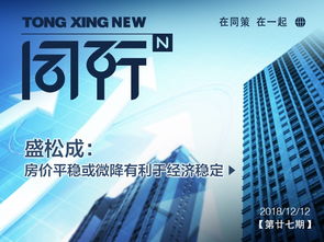 同策房產(chǎn)咨詢股份 賦能房地產(chǎn)行業(yè)的關(guān)鍵力量